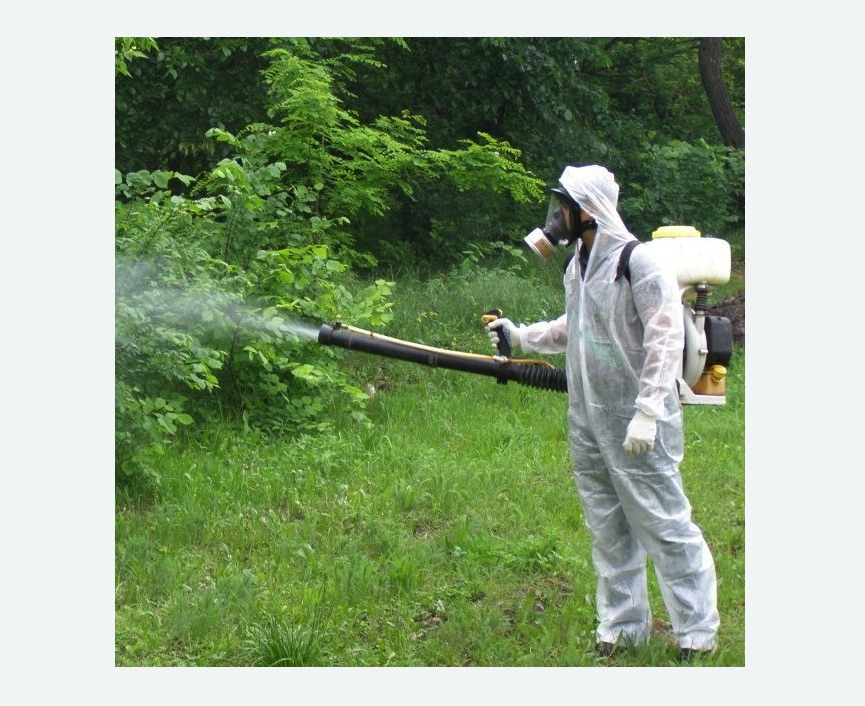 обработка территории от клещей в Зернограде