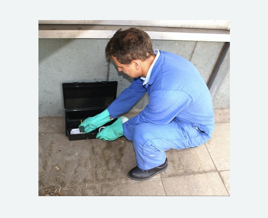 Дератизация помещения в Зернограде Дератизация помещения