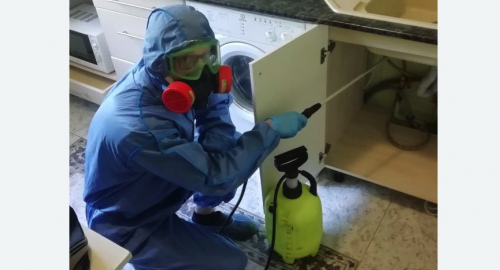 Уничтожение муравьев в квартире. Зерноград