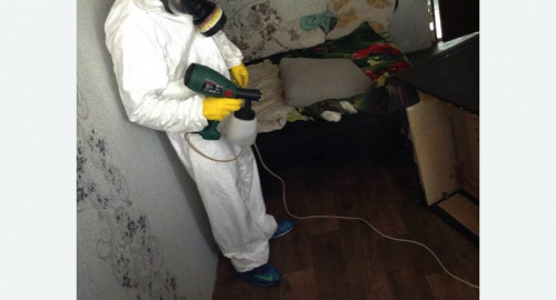 Обработка квартир от насекомых в Зернограде