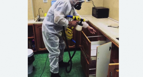 Дезинсекция квартиры. Зерноград