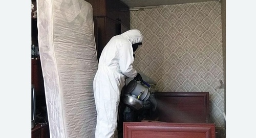 Дезинфекция от клопов в Зернограде