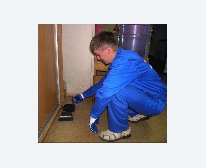 Дератизация крыс в Зернограде