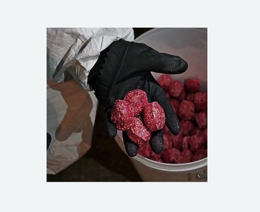 Обработка от крыс в Зернограде