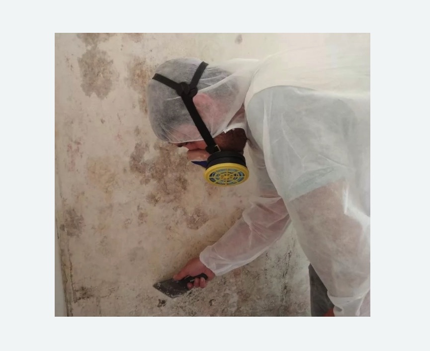 Обработка стен от плесени в Зернограде