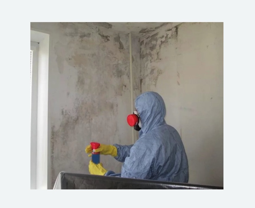 Удаление плесени в квартире в Зернограде