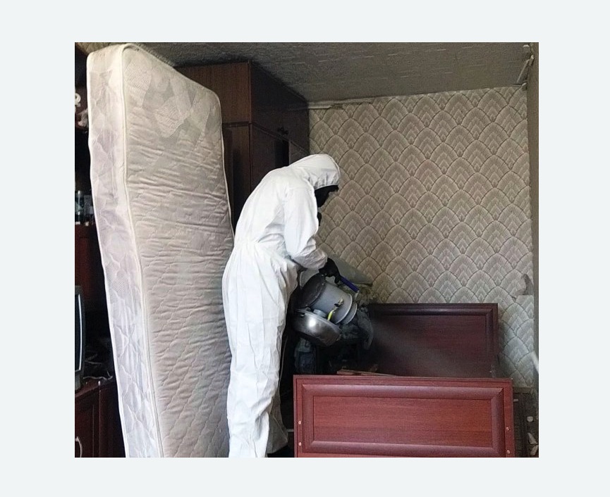 дезинфекция от клопов в Зернограде