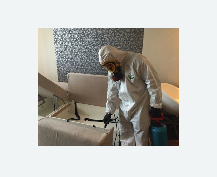 уничтожение клопов в квартире в Зернограде