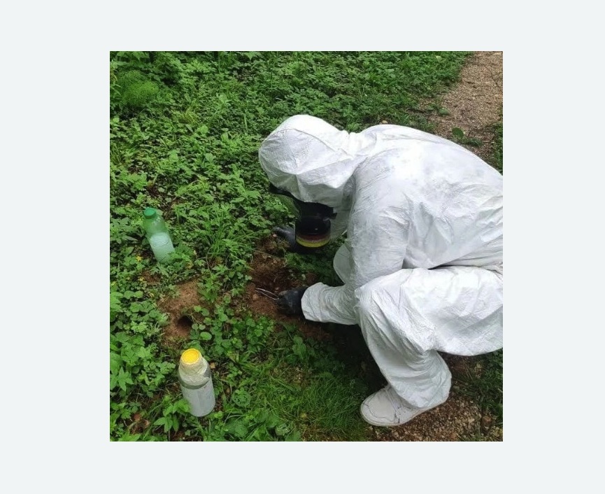 уничтожение кротов на участке в Зернограде