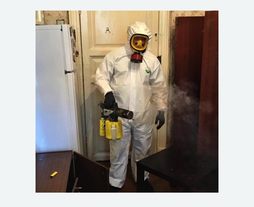 уничтожение муравьев в квартире в Зернограде